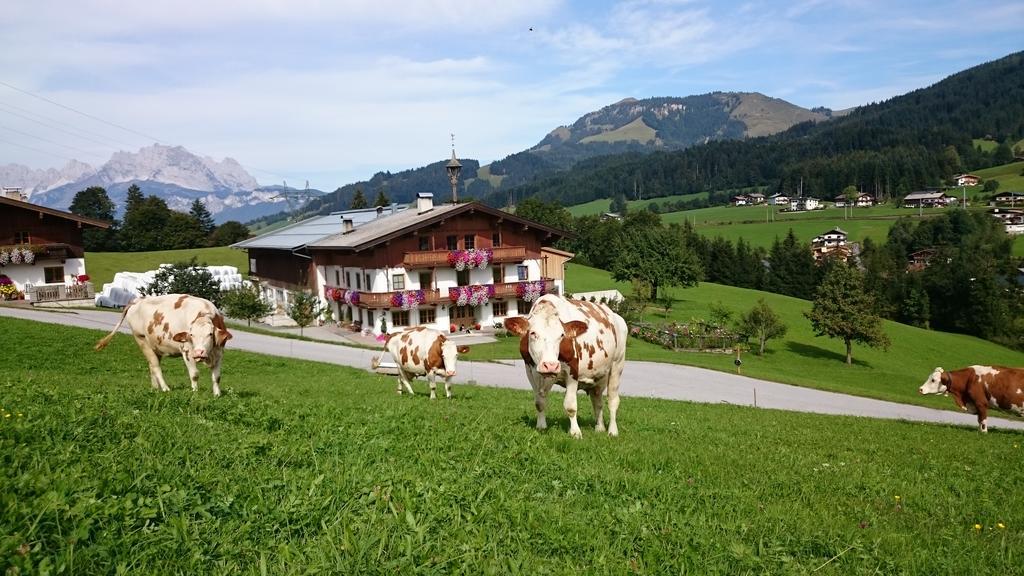 Villa Bio-Bauernhof Niederlehen Fieberbrunn Exterior foto
